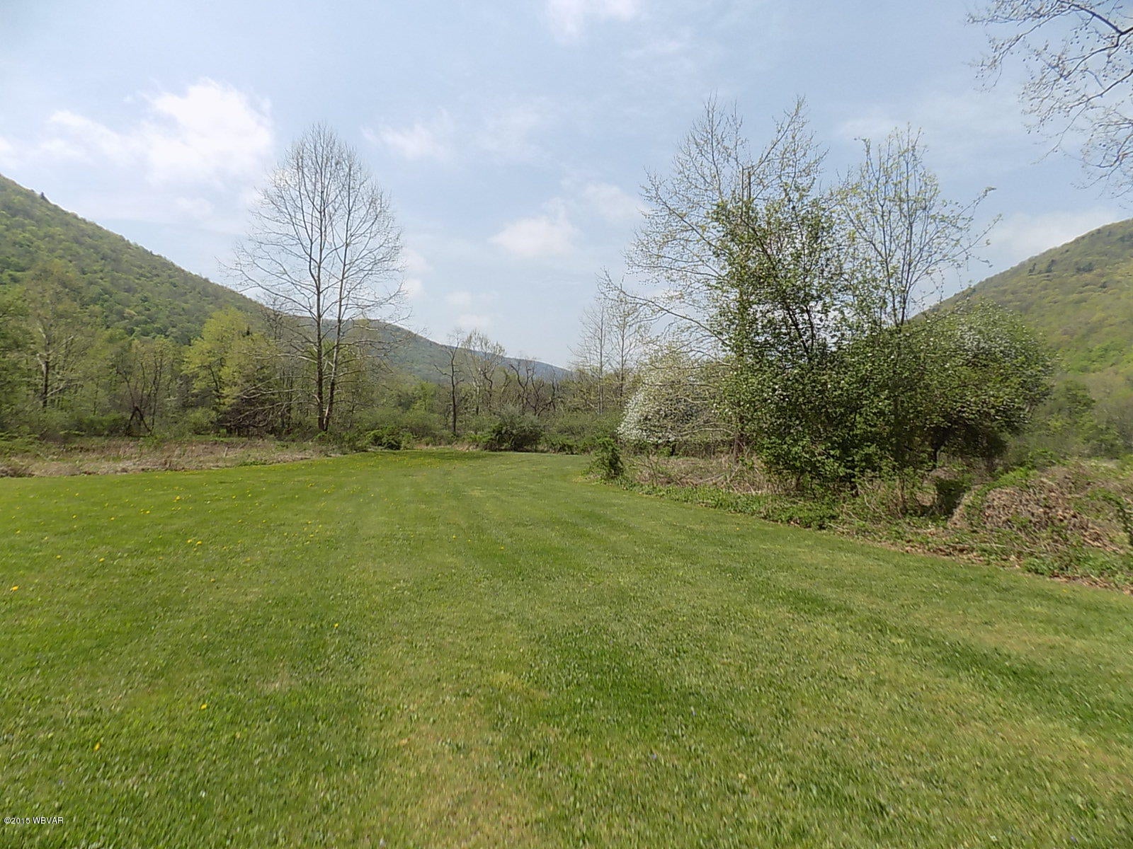 138 Slacks Run Road Trout Run, PA 17771 - Photo 21 of 23 Side Yard1