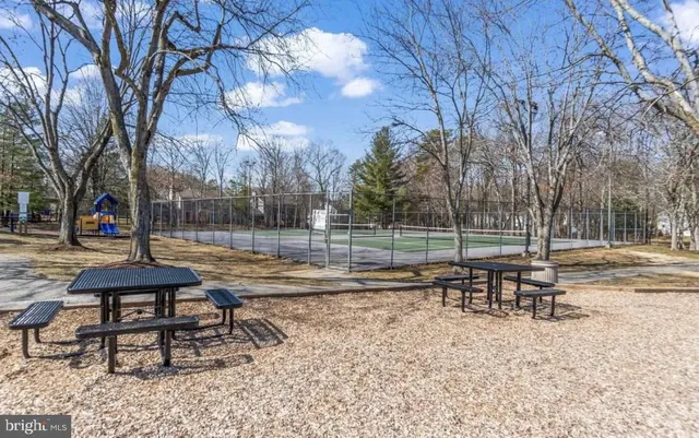 a view of a park with bench and trees
