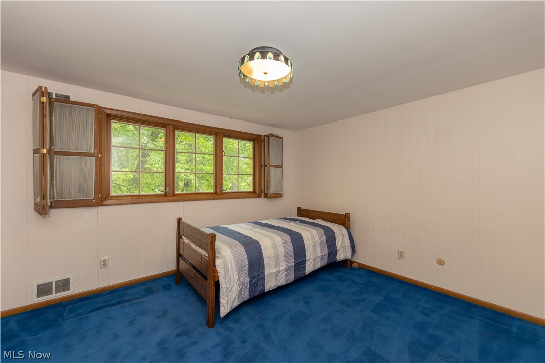 25001 Letchworth Road Beachwood, OH 44122 - Photo 31 of 50 Room featuring a multi-pane window with wood trim, interior wooden shutters, blue carpet flooring, and a ceiling-mounted light fixture