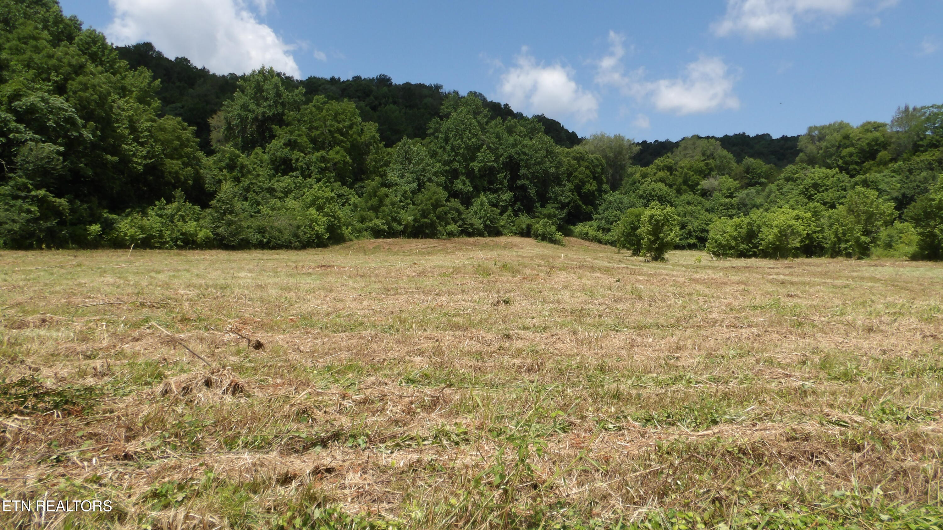 5.6-ac Lonnie Reecer Road Celina, TN 38551 - Photo 44 of 47 USE AS MAIN