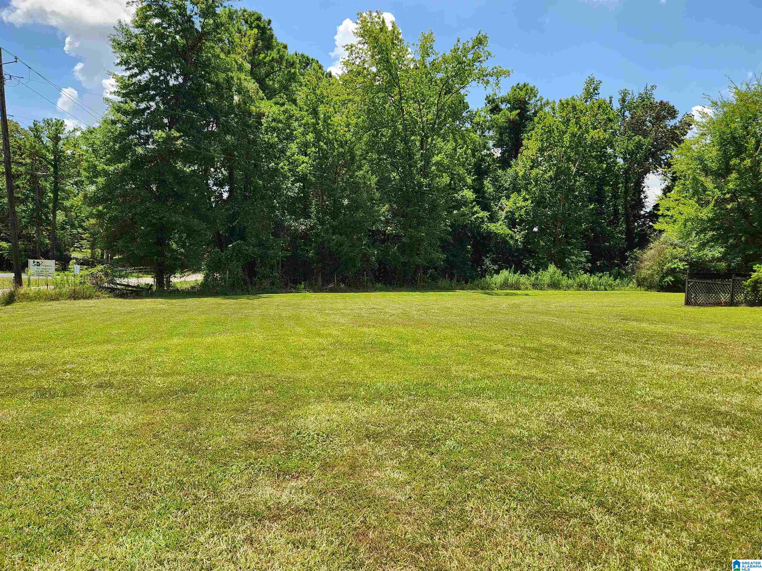 2262 Smokey Road Alabaster, AL 35007 - Photo 48 of 49