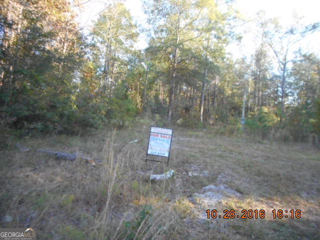 0 Laura Mae Road Collins, GA 30421 - Photo 1 of 1 Main View