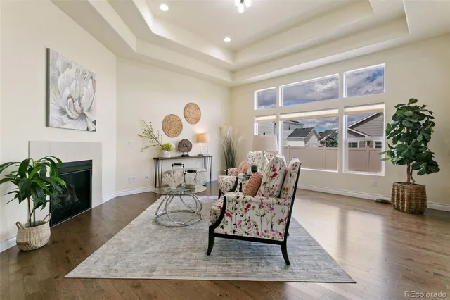 a living room with furniture and potted plant