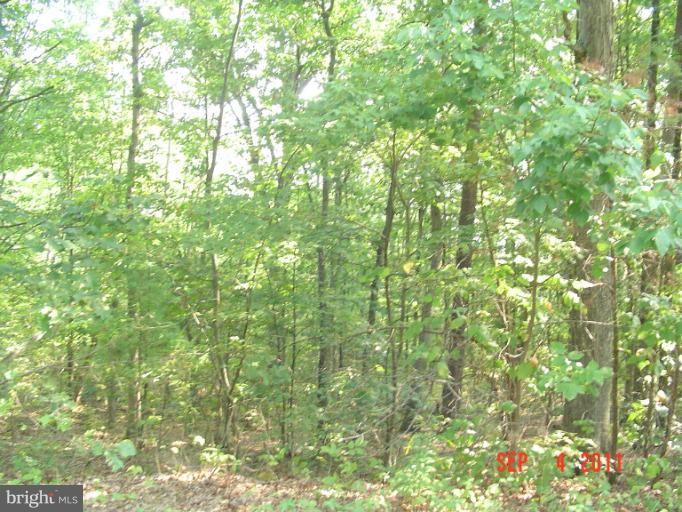 View Drive Front Royal, VA 22630 - Photo 2 of 3 Exterior (General)