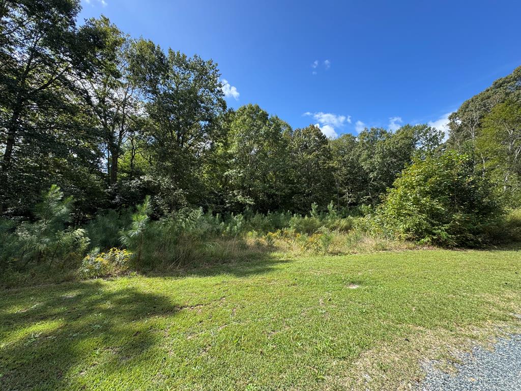 Lot 3 Branch Road, Unit 3B Temperanceville, VA 23442 - Photo 3 of 4