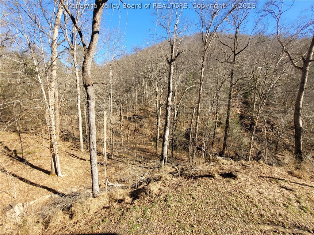 1662 Connell Road Charleston, WV 25314 - Photo 45 of 48 Gallery Image 45