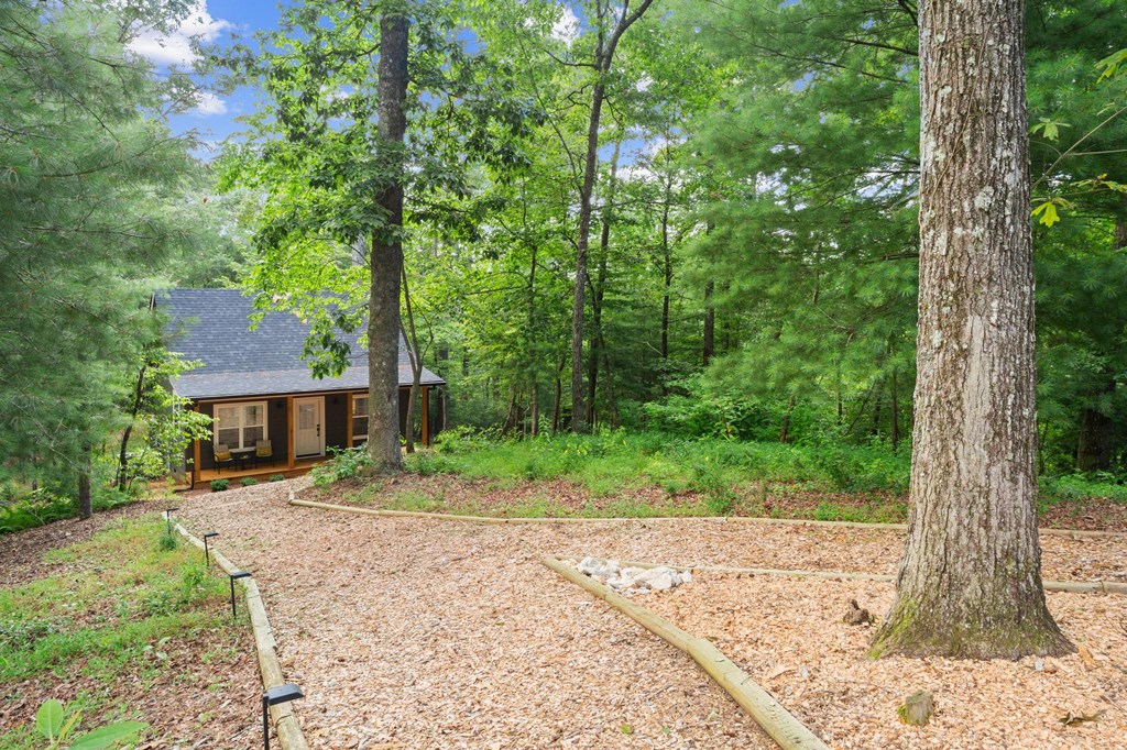 307 Pleasant Gap Cemetery Road Ellijay, GA 30540 - Photo 39 of 59 Gallery Image 39