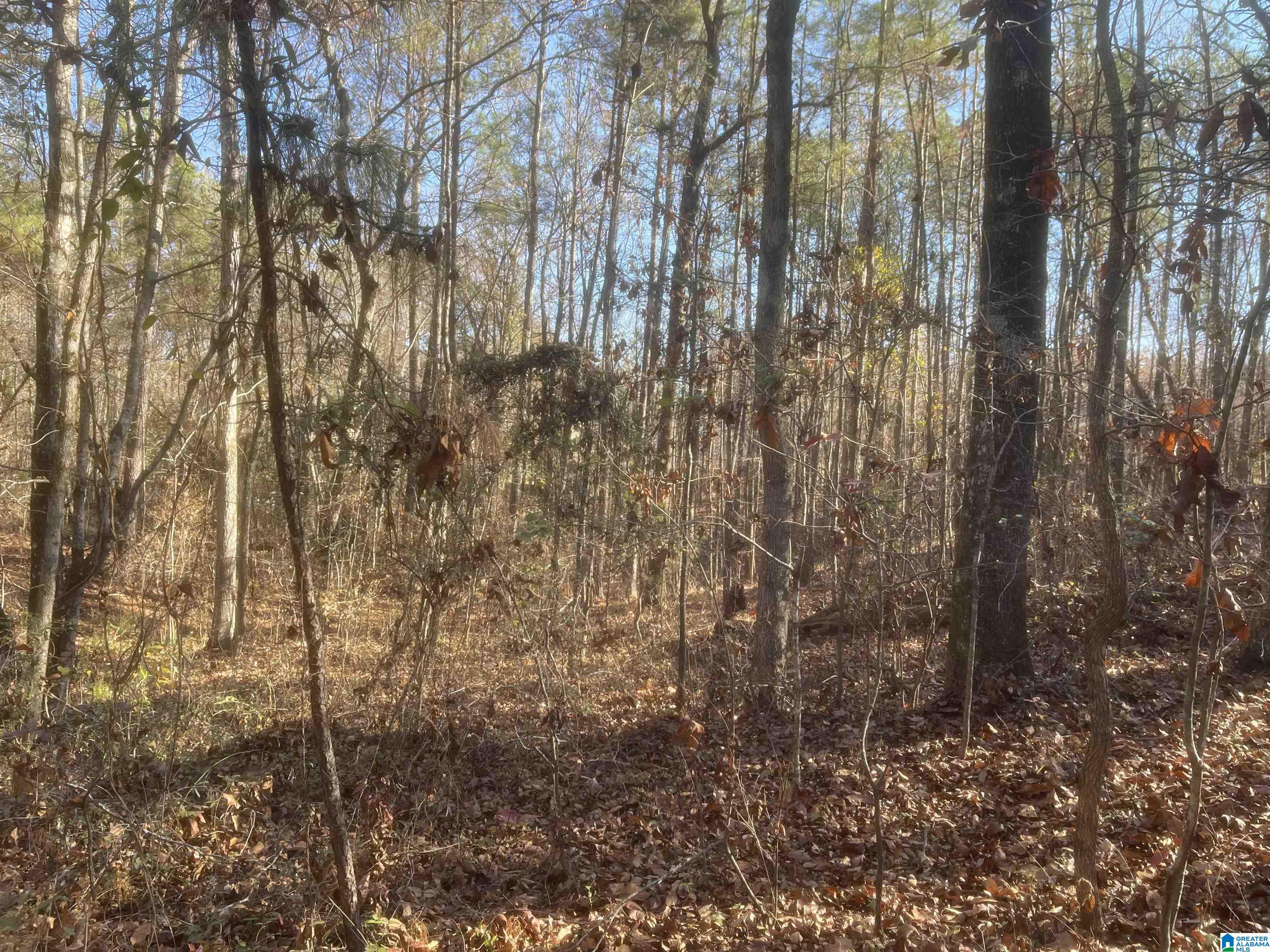 Edgewood Drive, Unit 2 McCalla, AL 35111 - Photo 10 of 14