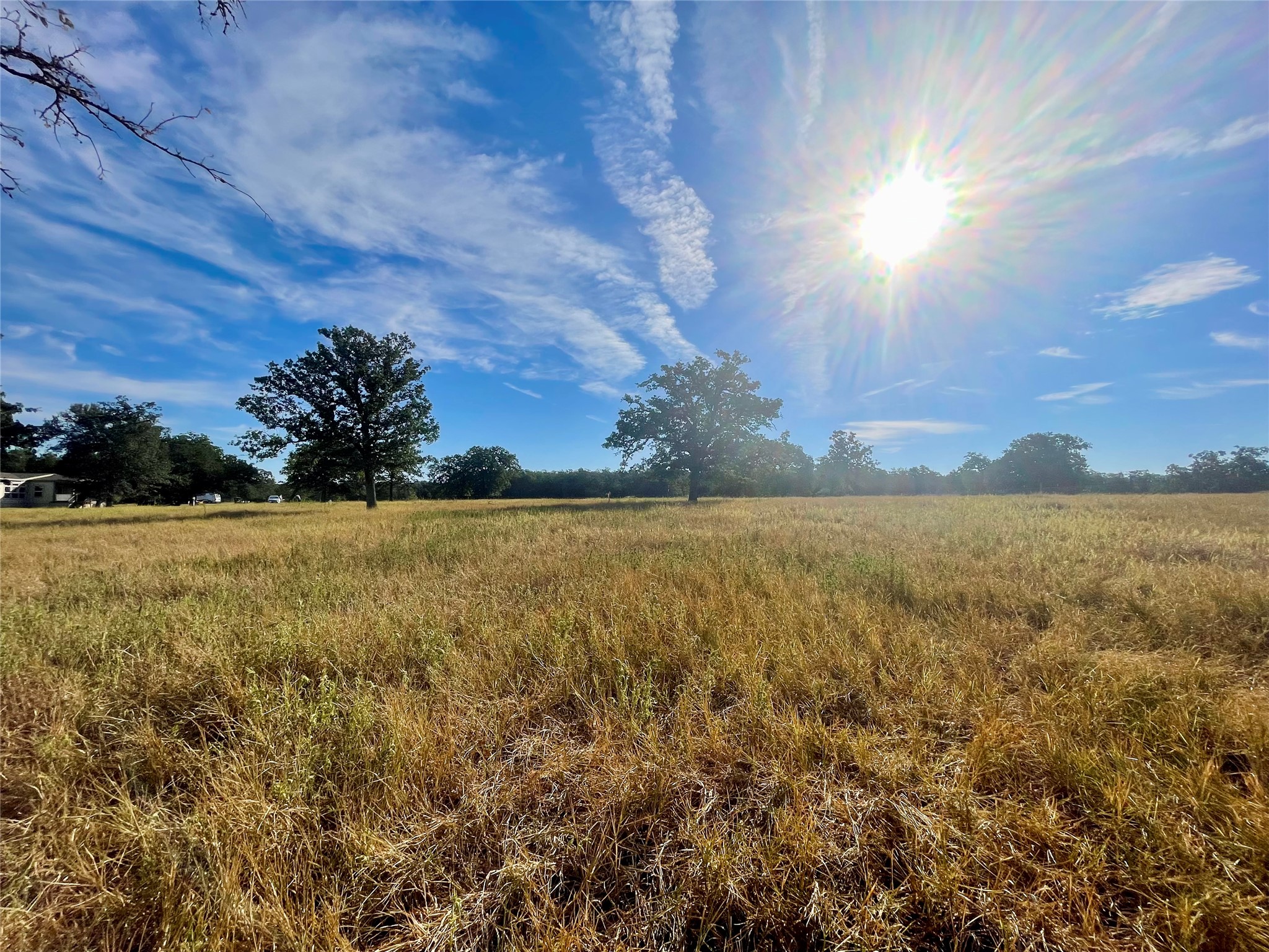 Tbd League Line Road Paige, TX 78659 - Photo 10 of 14 Front view of local wilderness featuring rural landscape