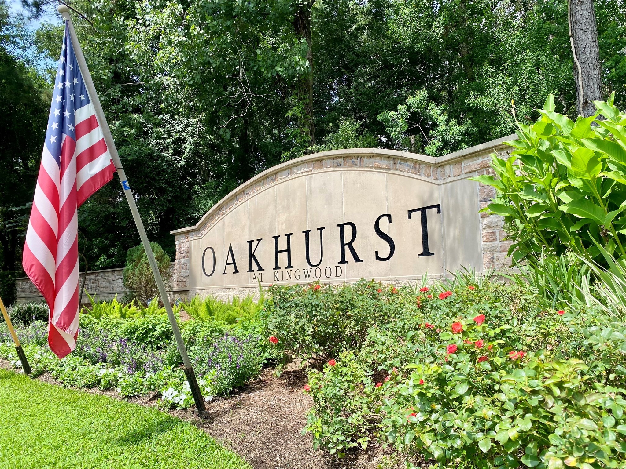 19861 Driver Forest Drive Porter, TX 77365 - Photo 2 of 38