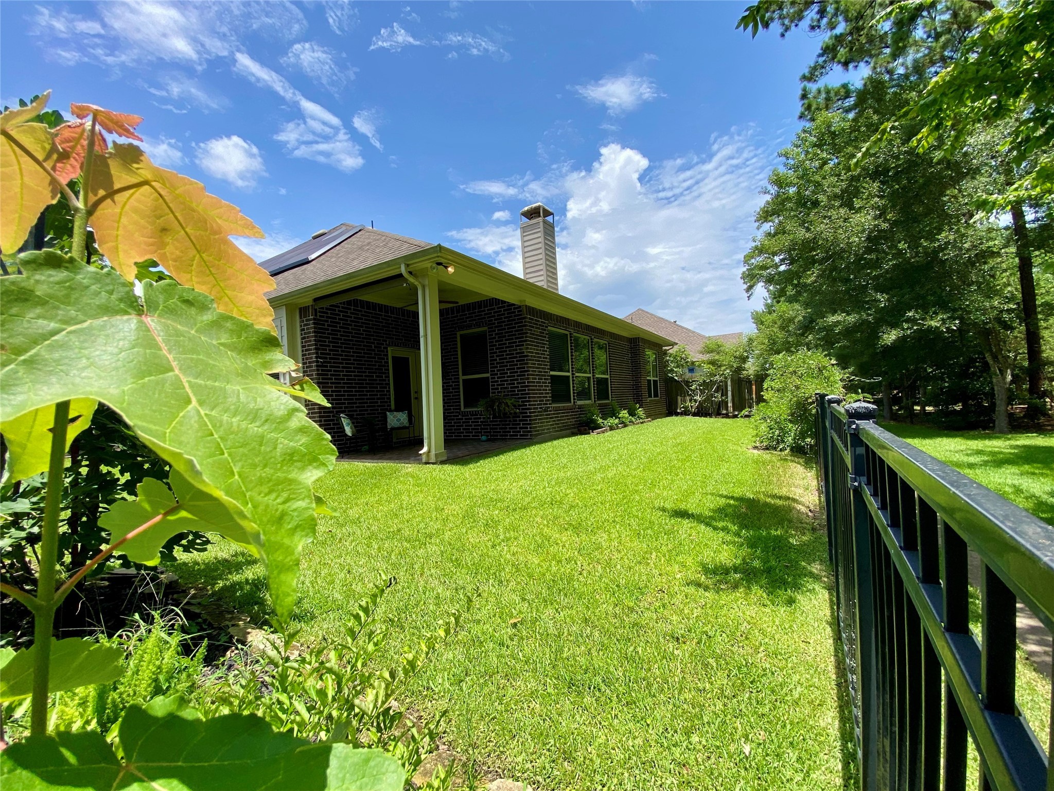 19861 Driver Forest Drive Porter, TX 77365 - Photo 28 of 38 a view of a house with a backyard