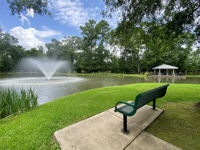 a view of a park with tree s