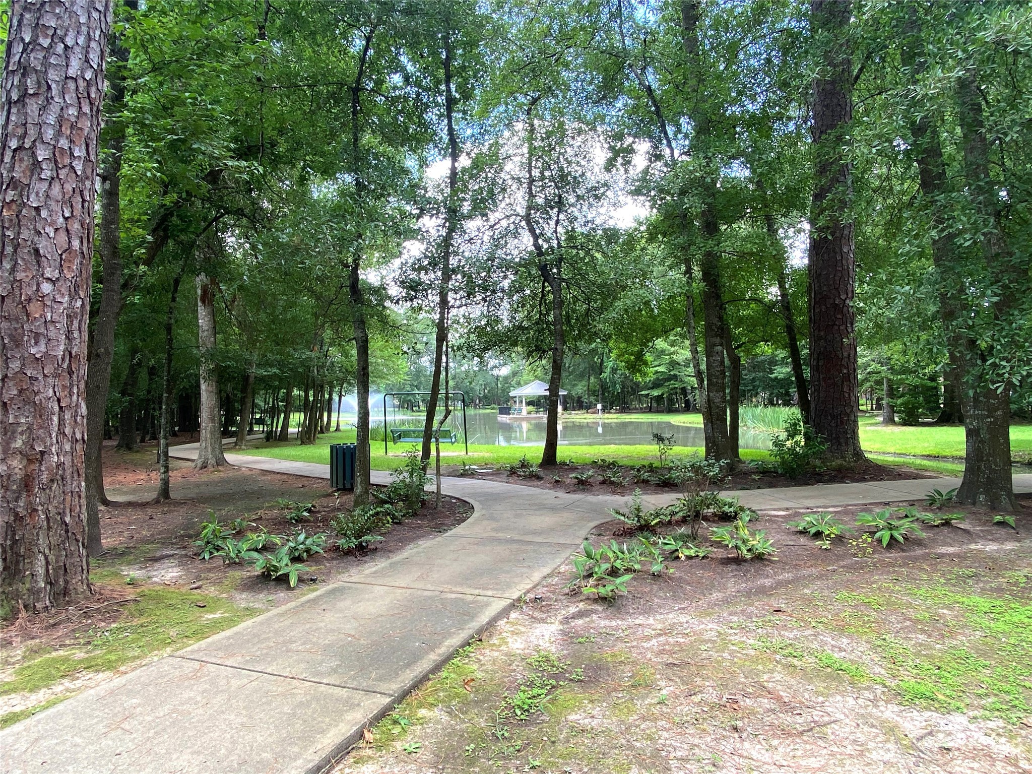 19861 Driver Forest Drive Porter, TX 77365 - Photo 32 of 38 a view of a park with tree s
