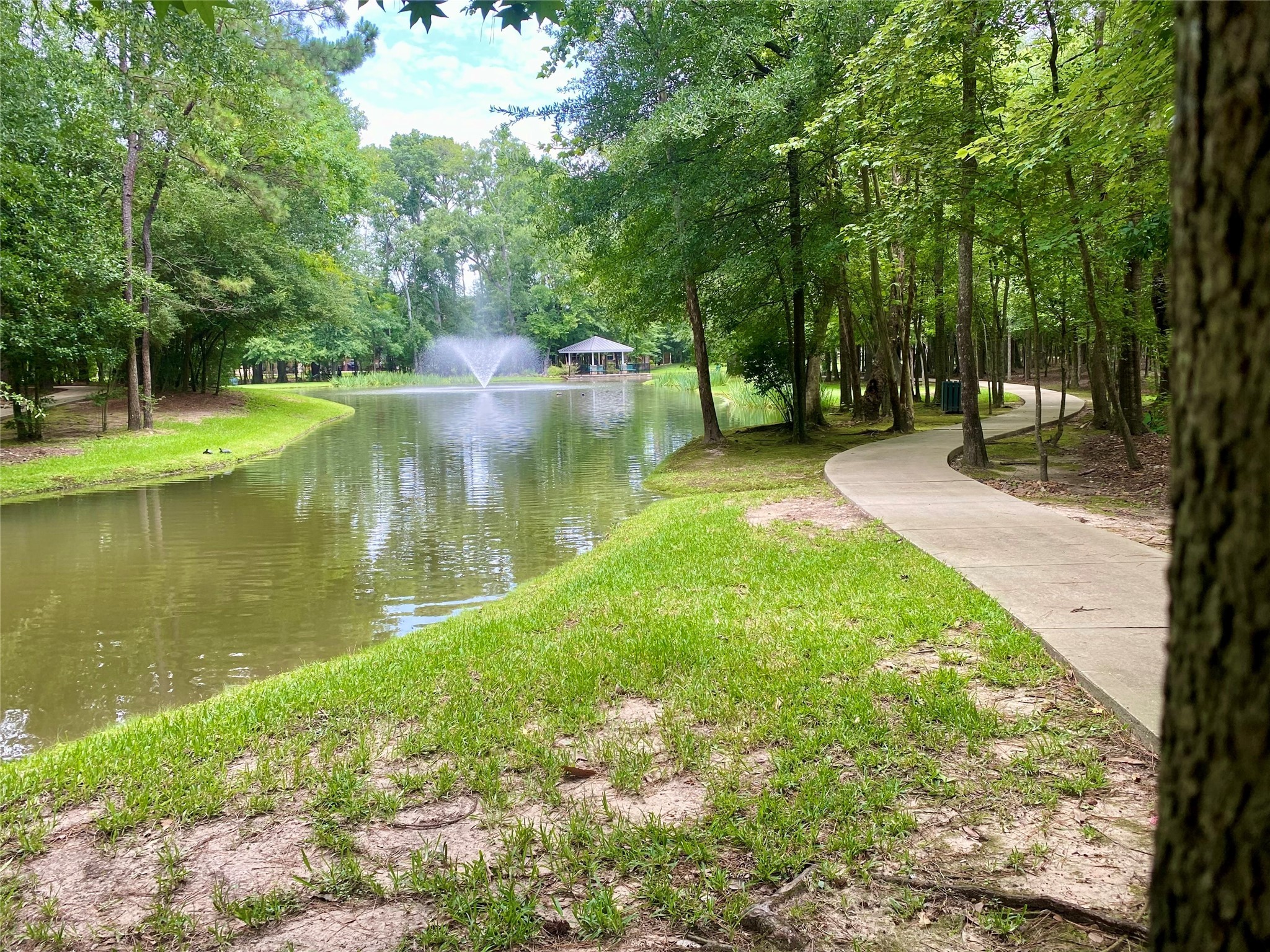 19861 Driver Forest Drive Porter, TX 77365 - Photo 33 of 38 a view of a lake with a yard