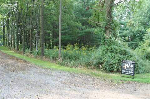 2870 Winegar Road Bancroft, MI 48414 - Photo 37 of 39 20447841-36.JPG
