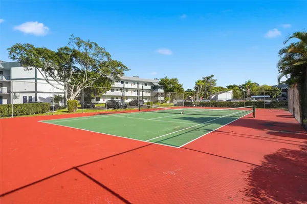 a view of a park with large trees and cars