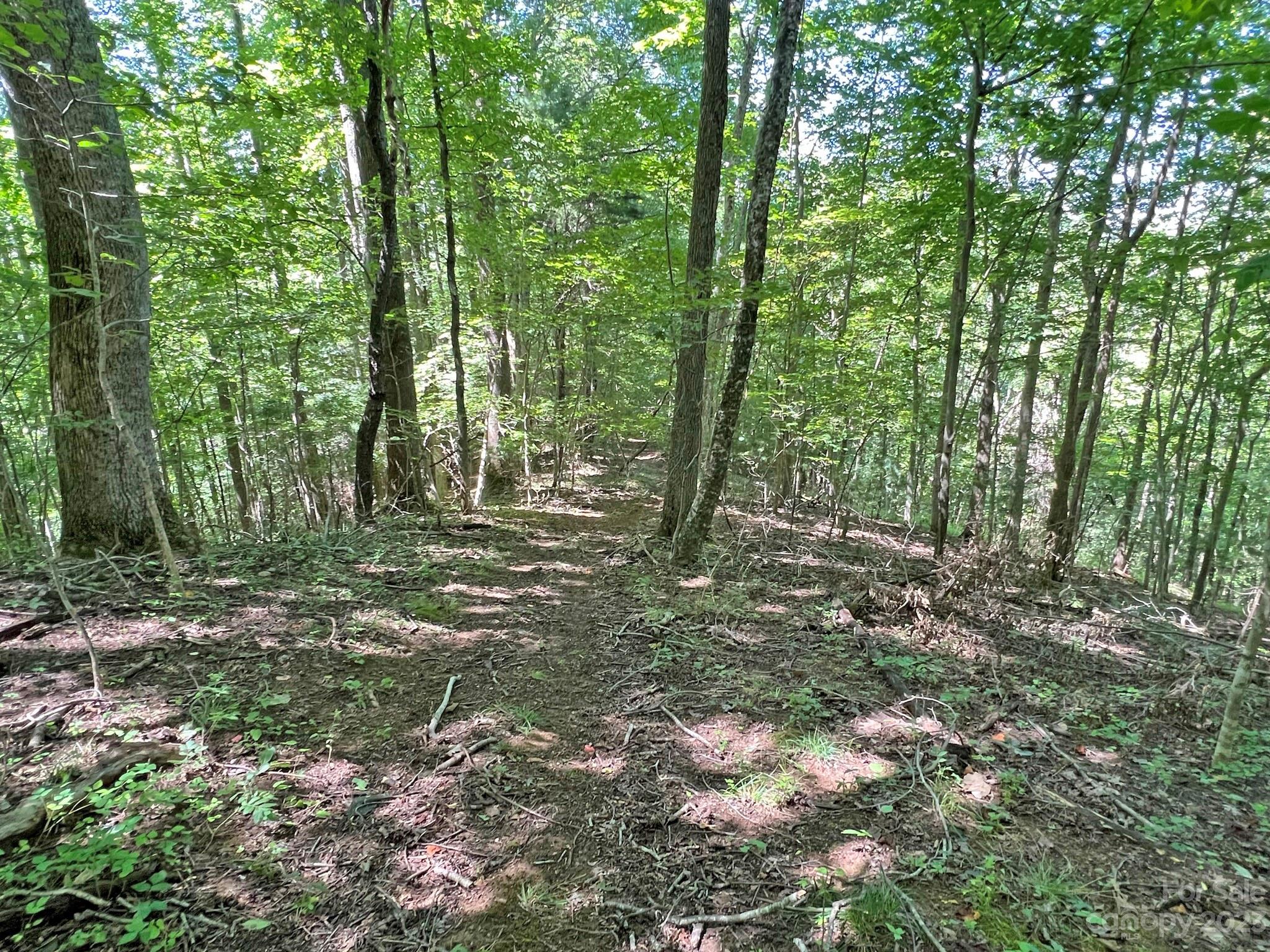 3390 Revere Road Marshall, NC 28753 - Photo 29 of 34 Gallery Image 29