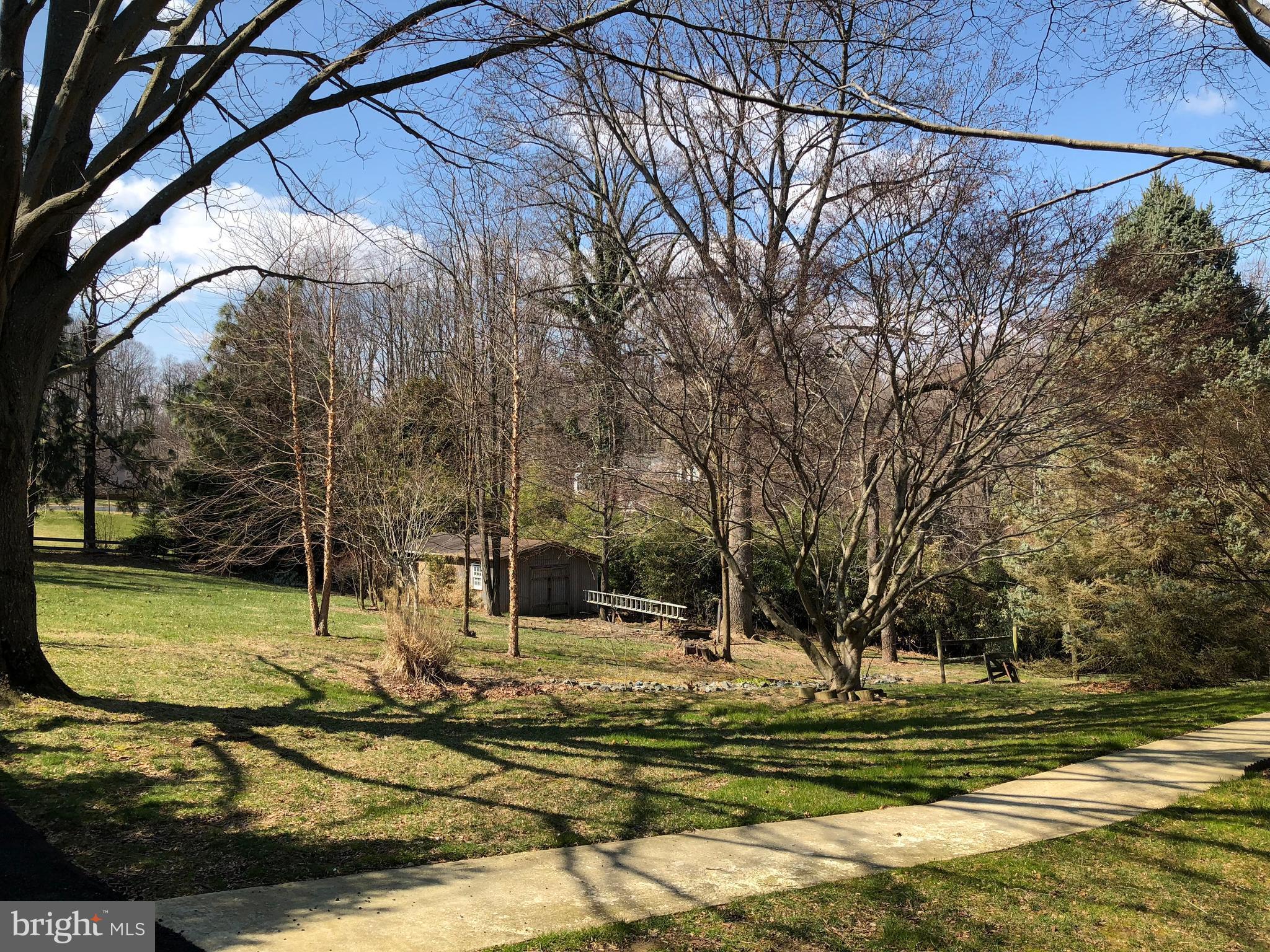 464 Friendship Road Friendship, MD 20758 - Photo 7 of 29 a view of yard with tree