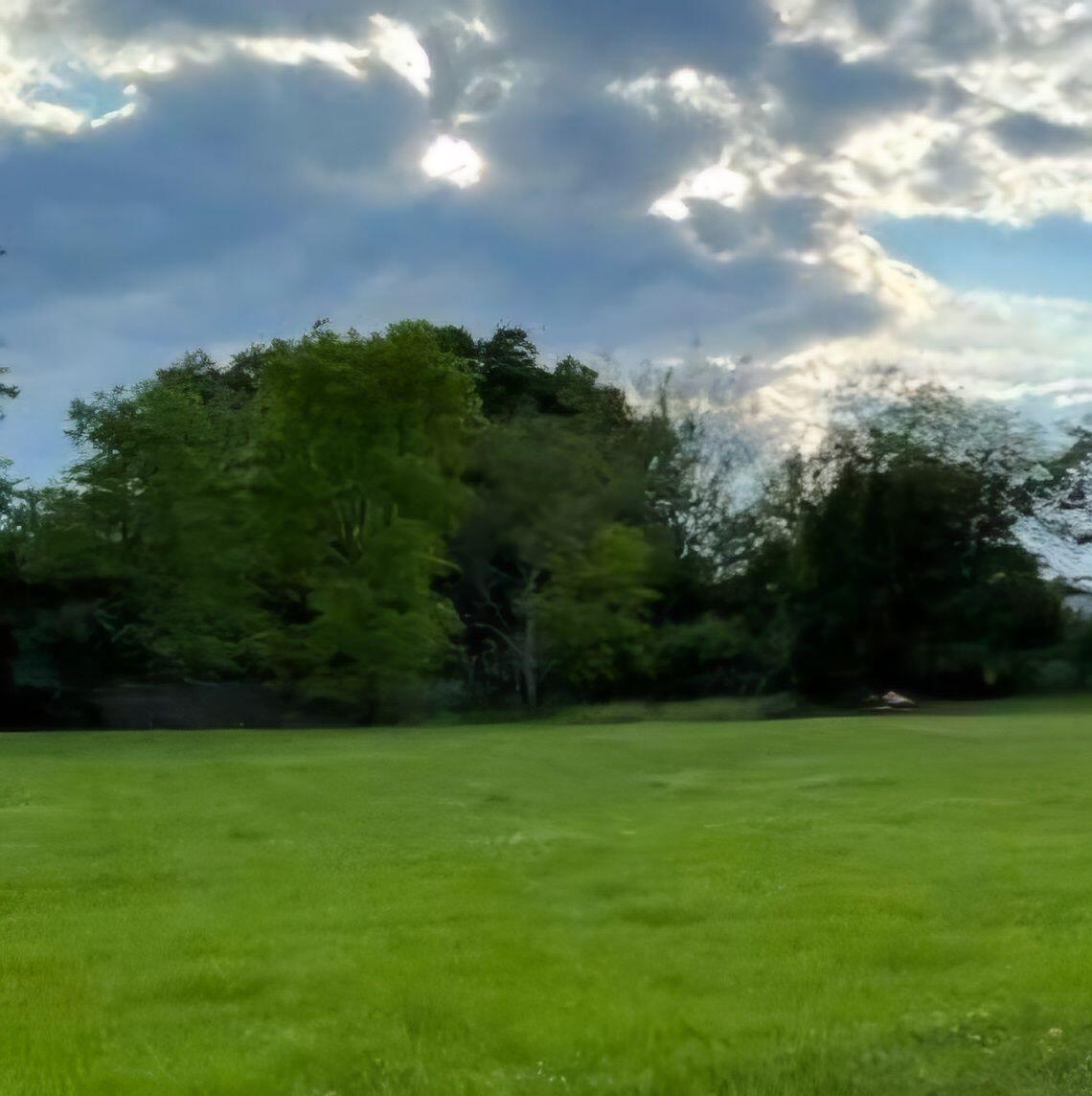 Cleared, corner lot.