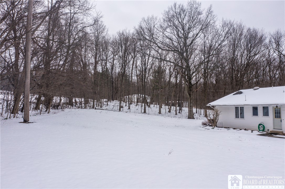 24 Prospect Street Hanover, NY 14062 - Photo 38 of 46