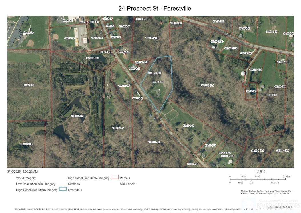 24 Prospect Street Hanover, NY 14062 - Photo 45 of 46