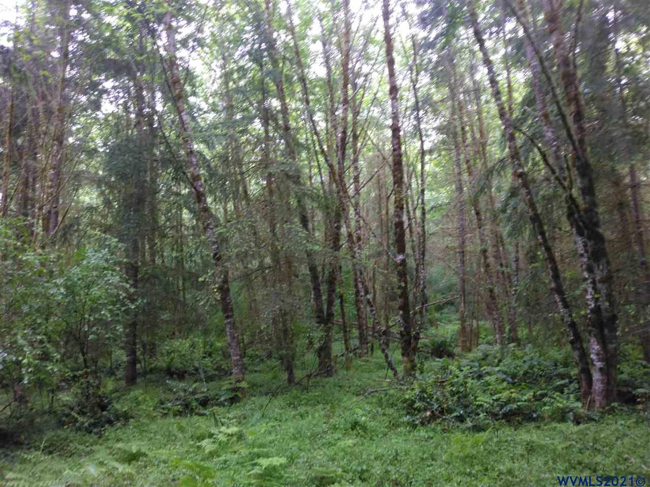 0 Dixie Mountain Road Scappoose, OR 97056 - Photo 9 of 9