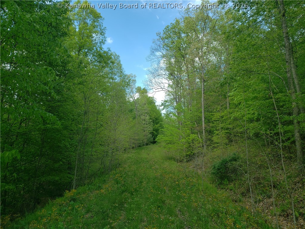 8982 Herold Road Sutton, WV 26601 - Photo 22 of 25 Gallery Image 22