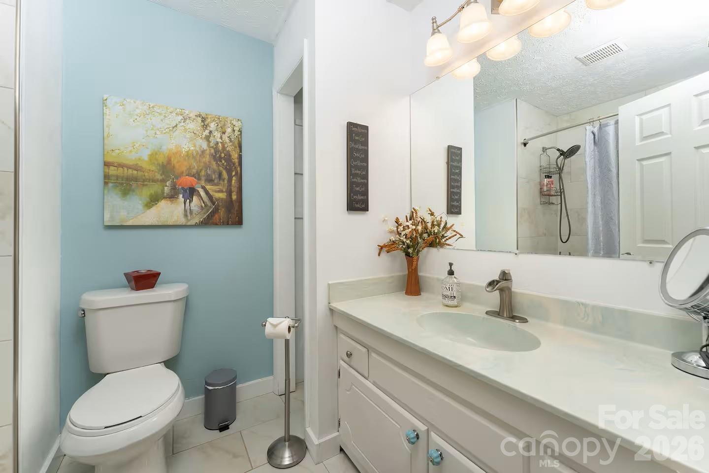 124 Oak Hill Road Candler, NC 28715 - Photo 17 of 29 a bathroom with a toilet sink and mirror