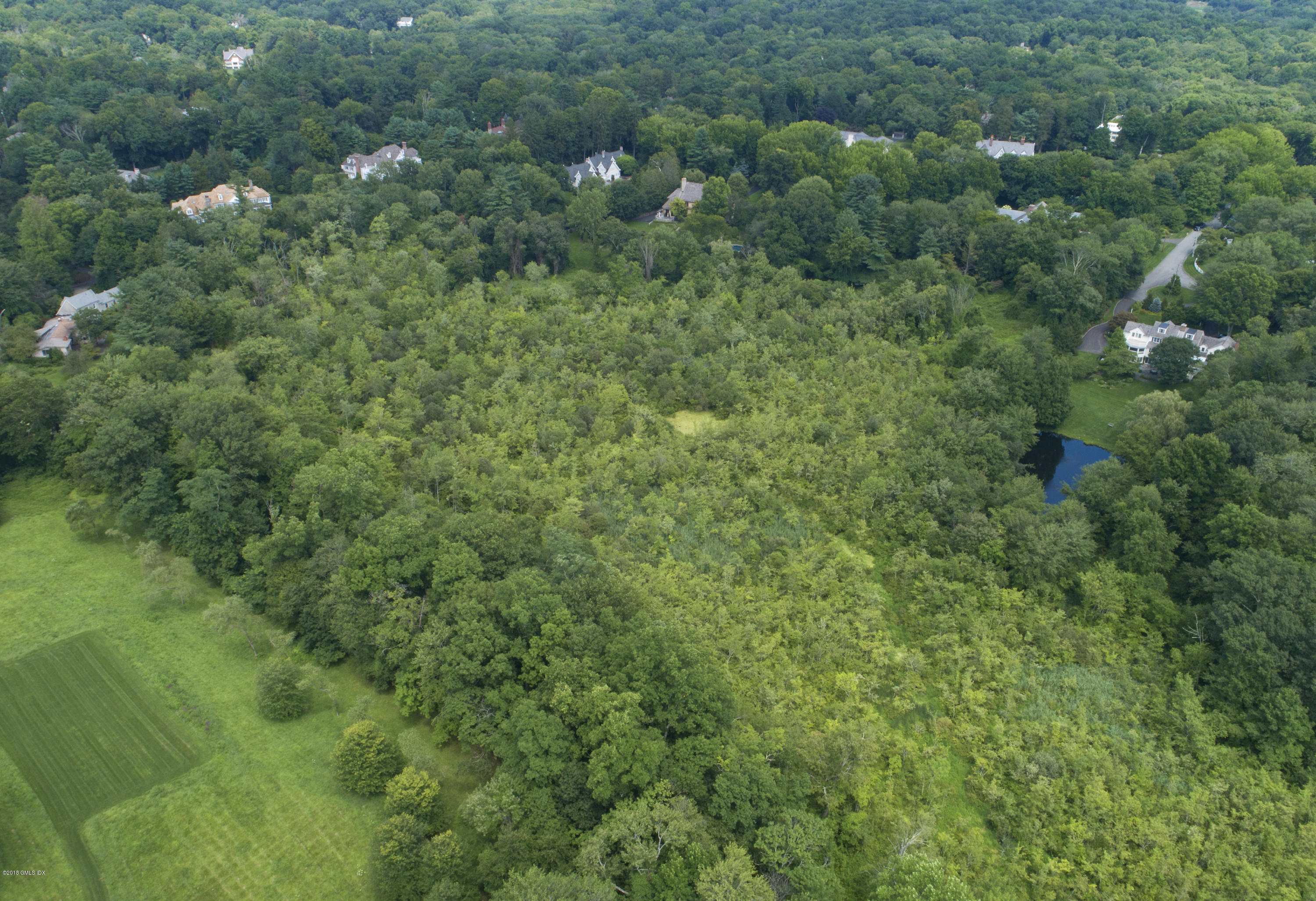 7 Dempsey Lane Greenwich, CT 06830 - Photo 18 of 22 a view of a lush green forest with lots of trees