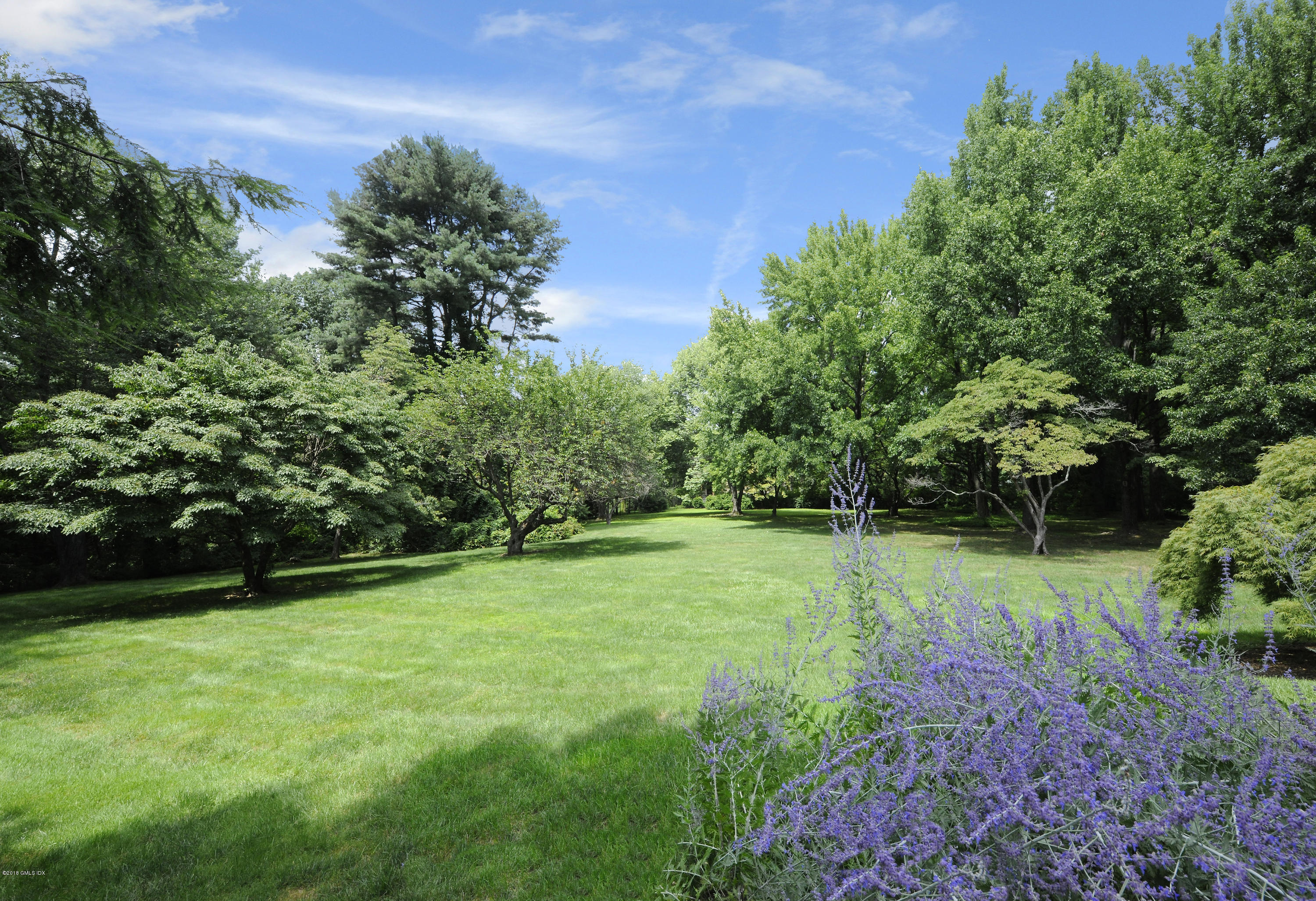 7 Dempsey Lane Greenwich, CT 06830 - Photo 8 of 22 a view of a grassy field with trees in the background