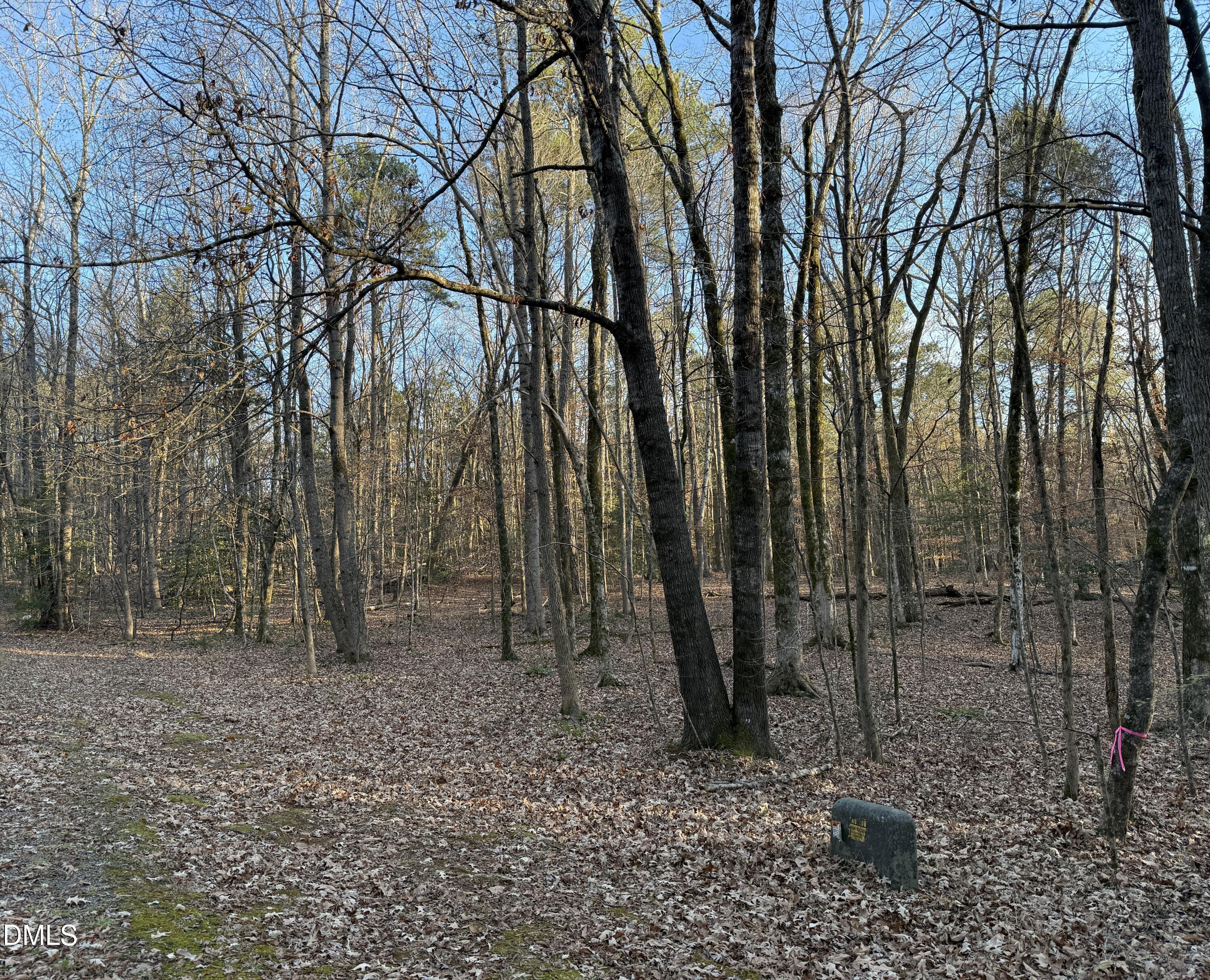 0 Woodland Road Littleton, NC 27850 - Photo 2 of 11 a backyard of a house with lots of green space