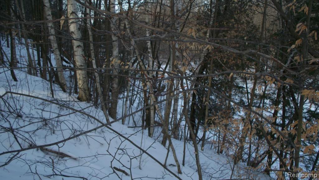 B Black River Road Croswell, MI 48422 - Photo 1 of 11 Gallery Image 1