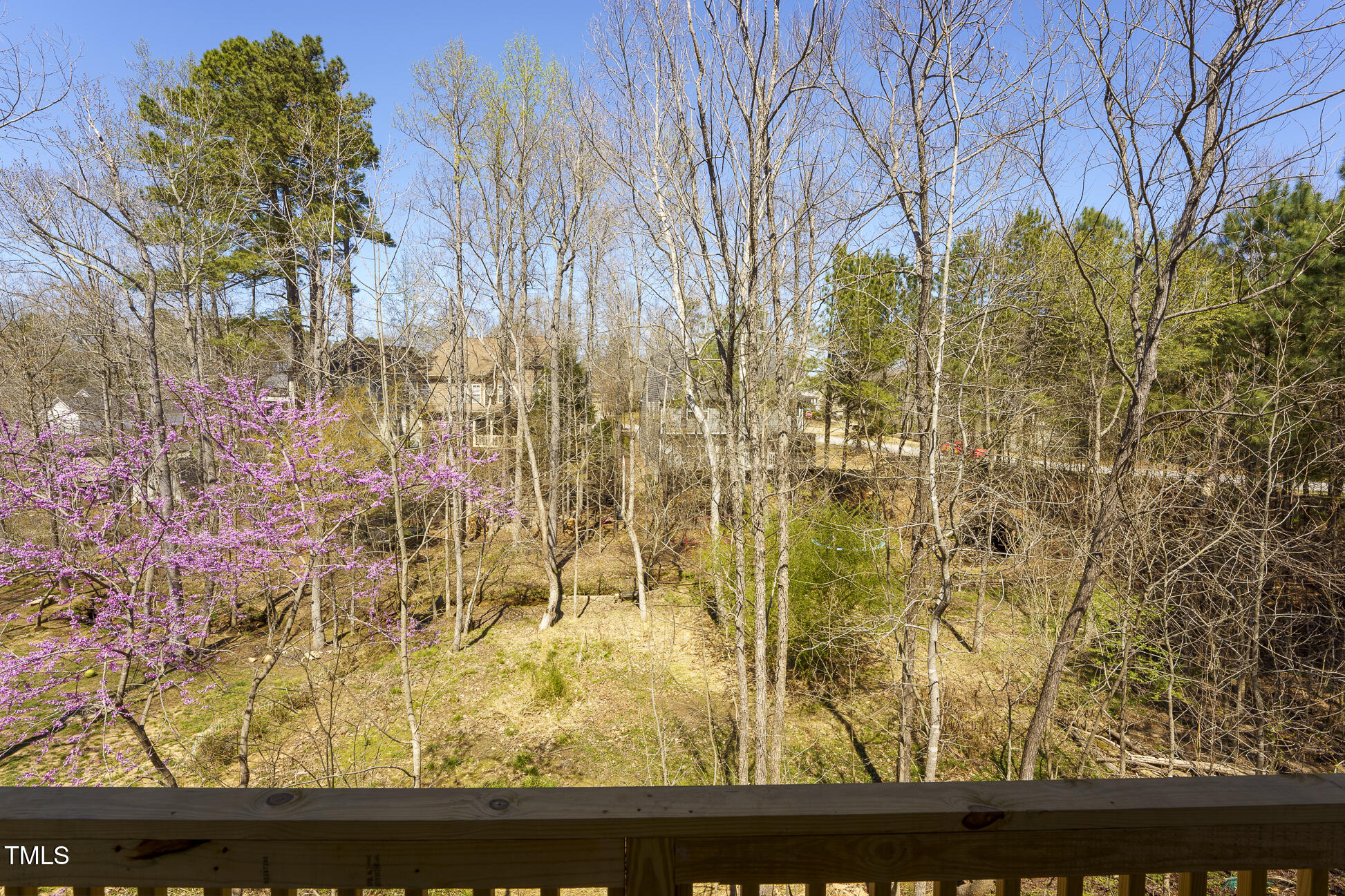 604 Whistable Avenue Wake Forest, NC 27587 - Photo 43 of 44 a view of sky view