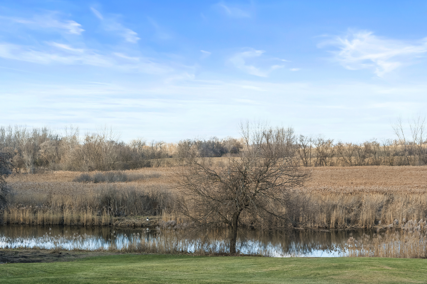 28766 West Burnett Road McHenry, IL 60051 - Photo 13 of 19 a view of a lake with houses