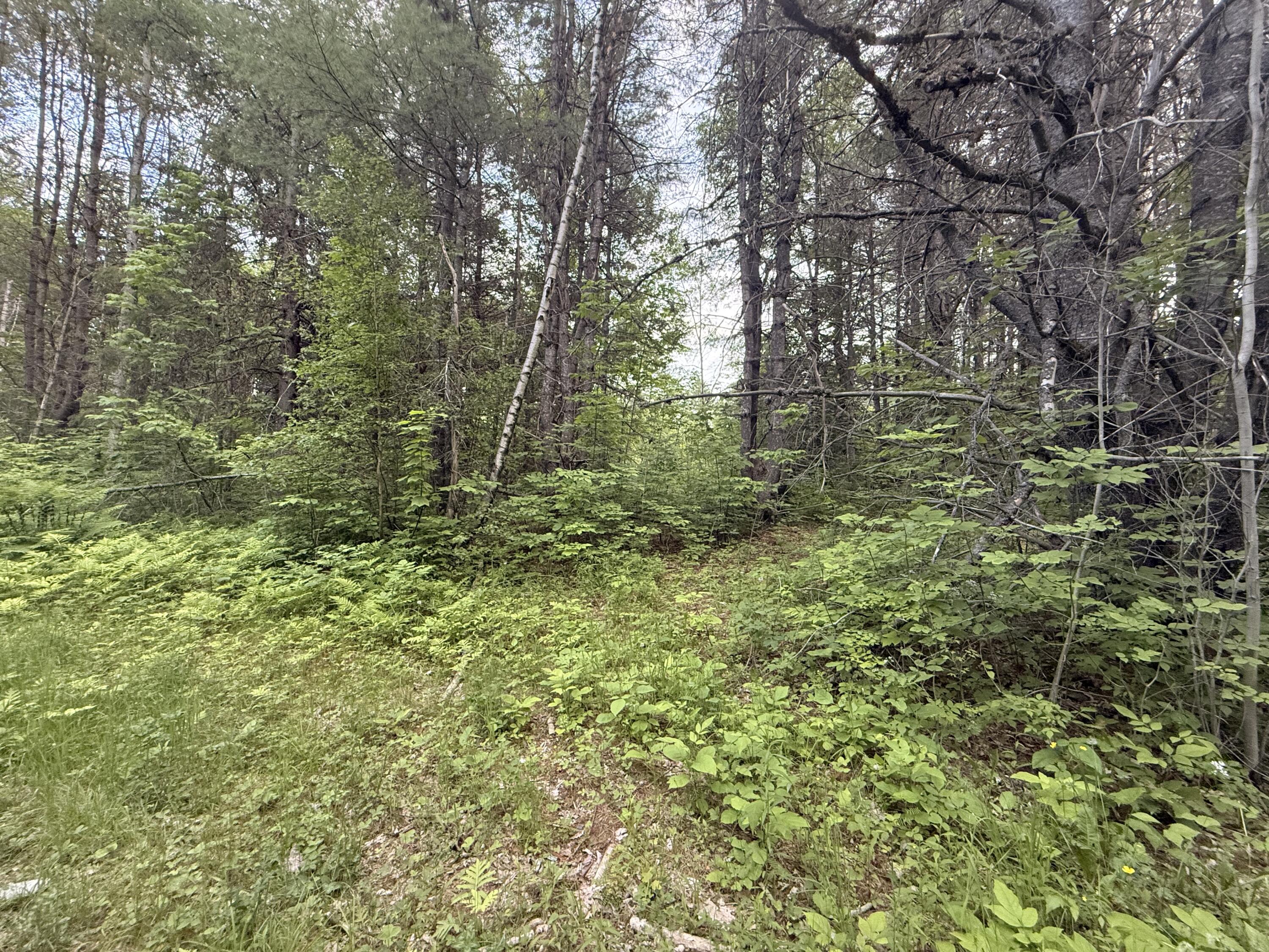 3-001-a Project Road Enfield, ME 04493 - Photo 2 of 3
