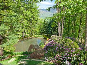 1348 Saunook Road Waynesville, NC 28786 - Photo 18 of 24 a view of a lake with a tree