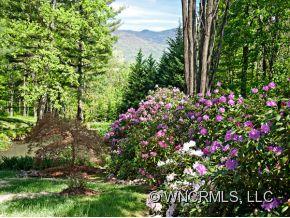 1348 Saunook Road Waynesville, NC 28786 - Photo 21 of 24 a view of a flower in a garden