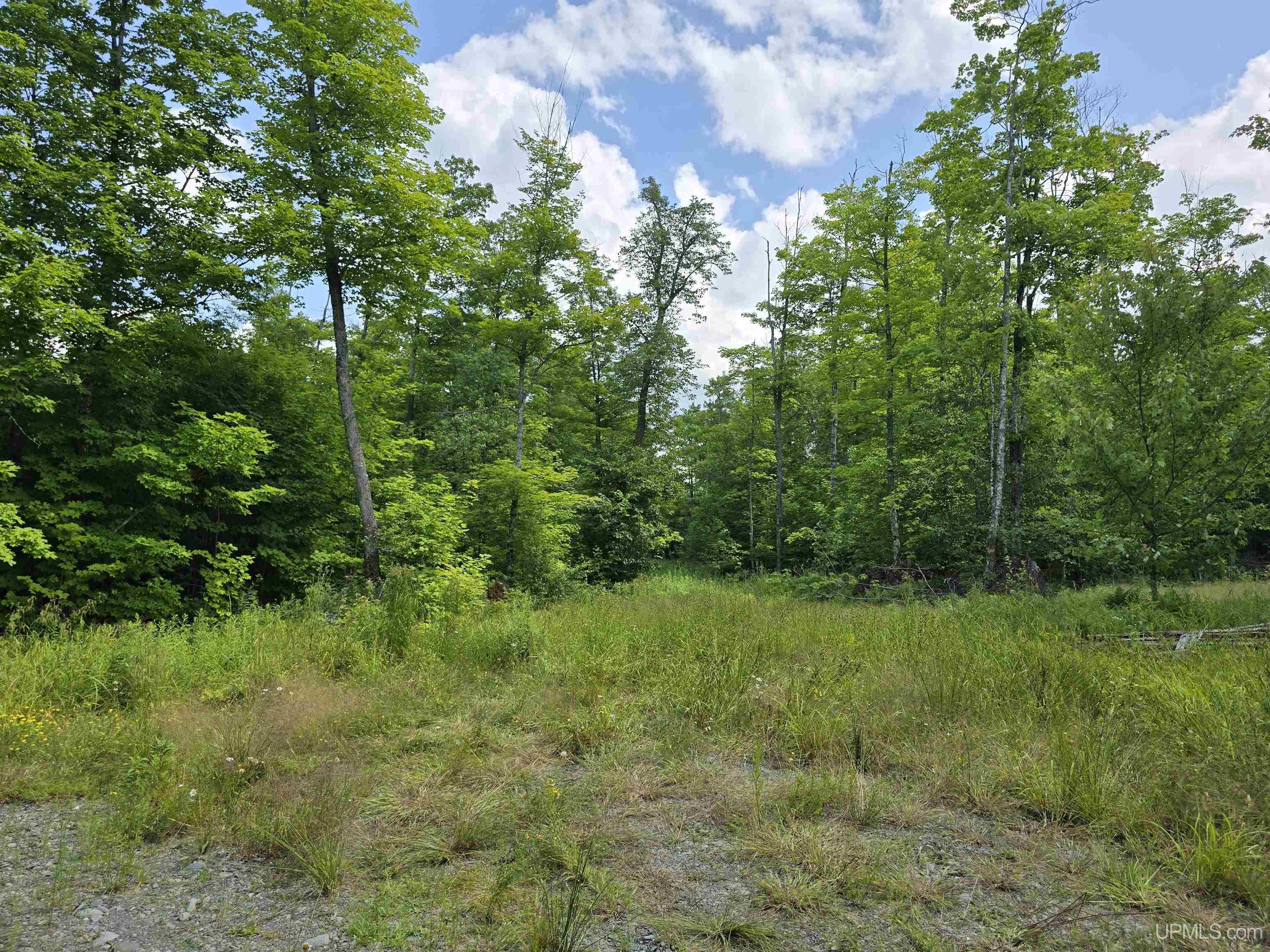 13856 North Section 16 Road Covington, MI 49919 - Photo 9 of 46