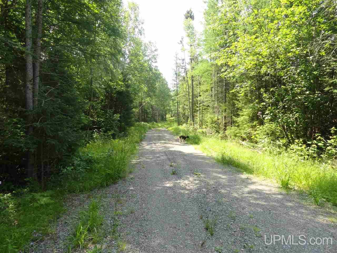 8878 Co Road Republic, MI 49879 - Photo 7 of 34