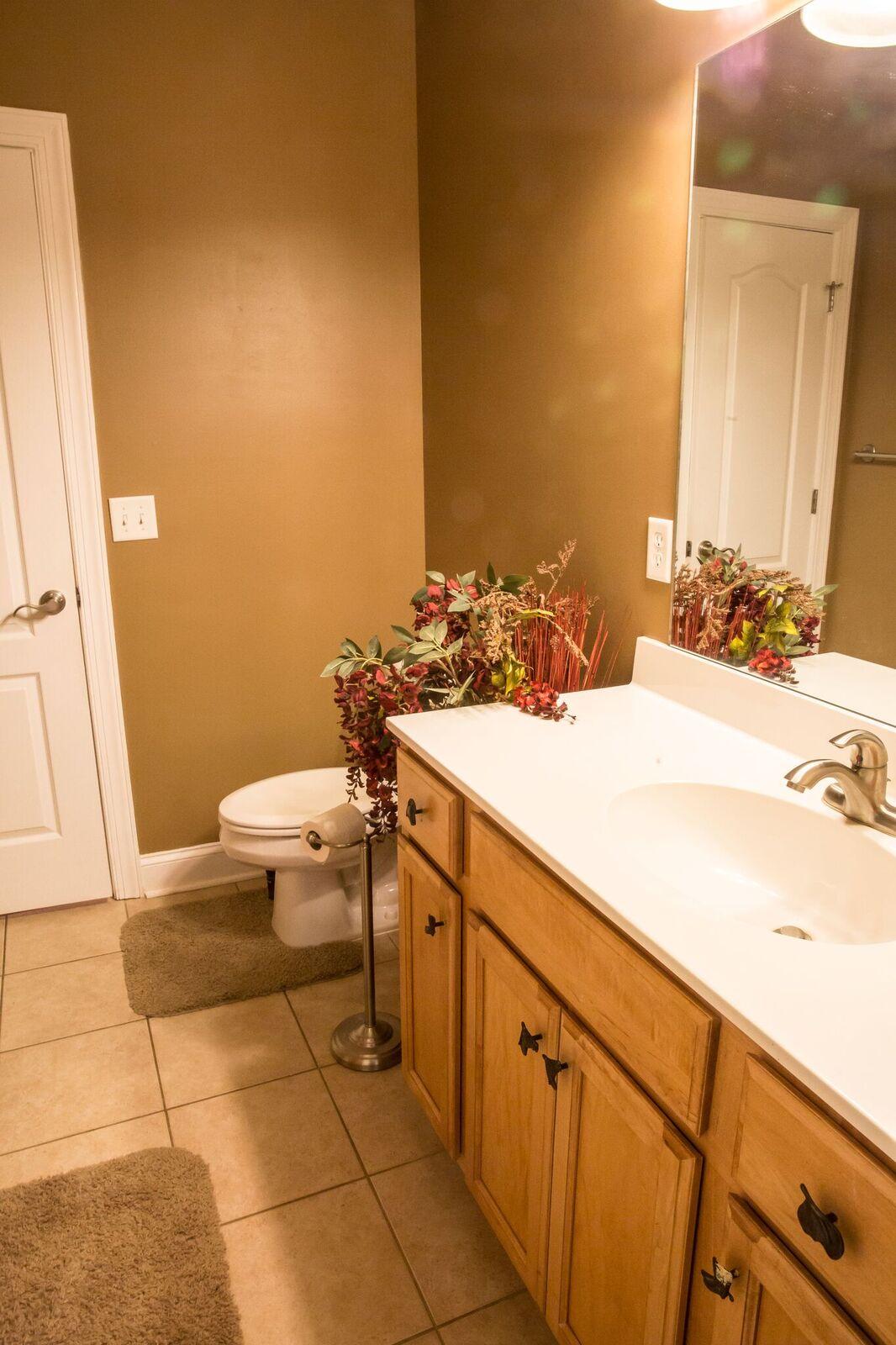 84 Ridgeview Lane Ringgold, GA 30736 - Photo 14 of 35 bathroom3