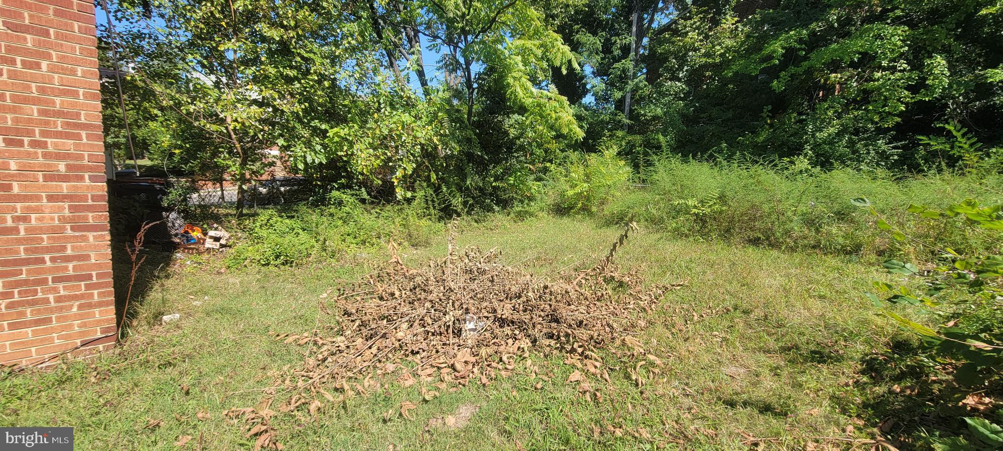 4962-4966 Benning Road Southeast Washington, DC 20019 - Photo 7 of 13 a view of a yard with plants and large trees