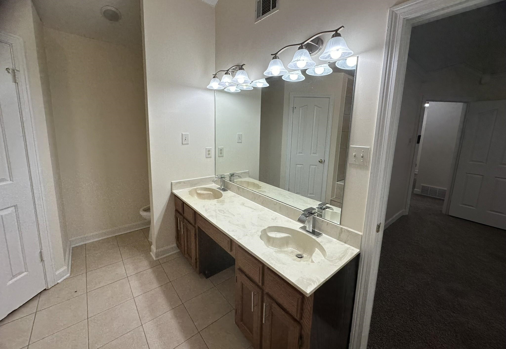 5435 Pine Oak Lane Bartlett, TN 38135 - Photo 13 of 17 a bathroom with a sink and a mirror