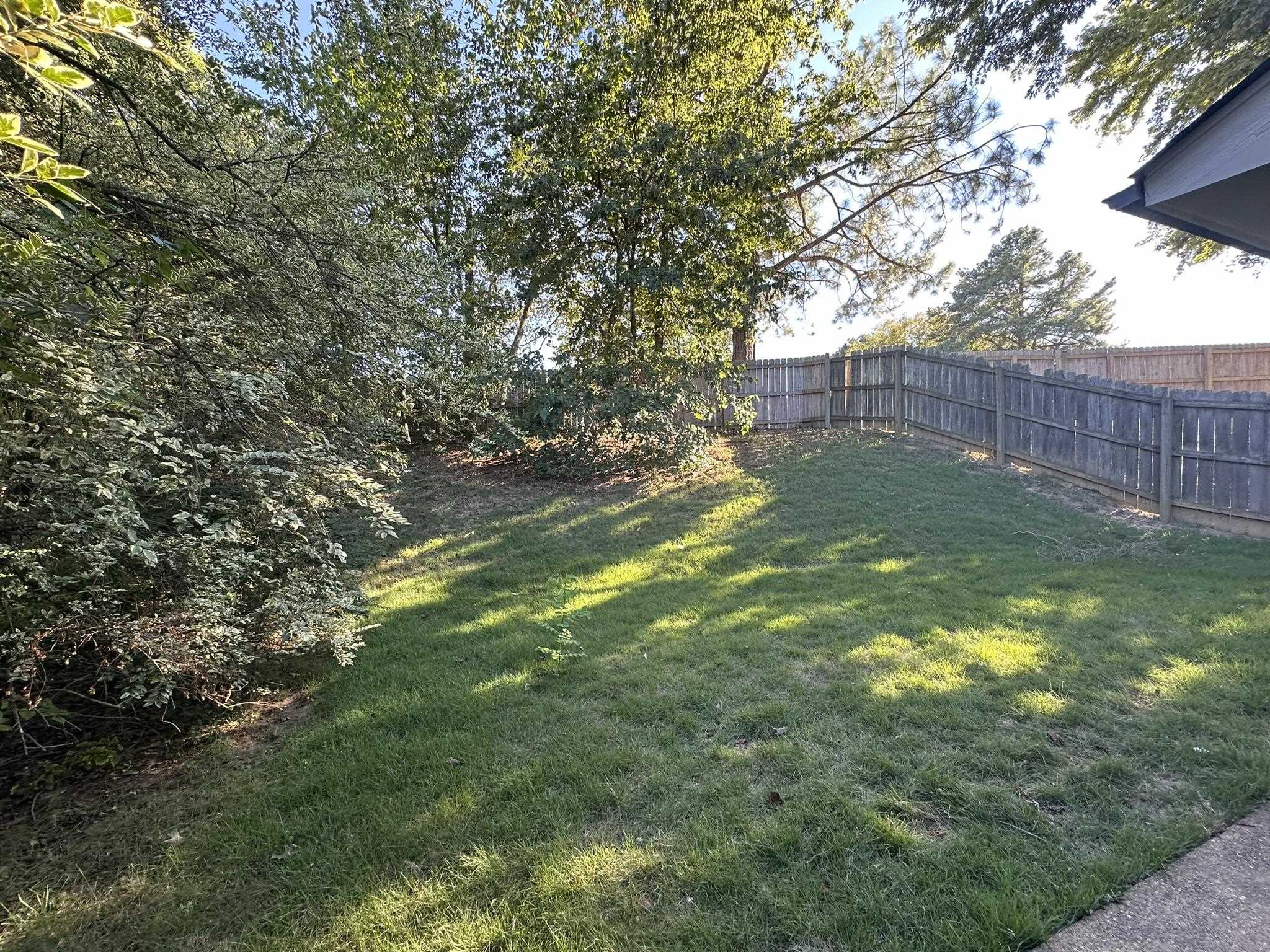 5435 Pine Oak Lane Bartlett, TN 38135 - Photo 15 of 17 a view of yard with trees