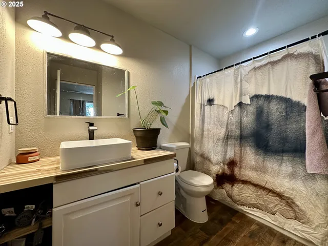 a bathroom with a sink a toilet and shower
