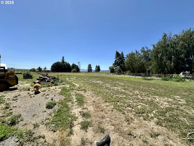 a view of a field with an trees