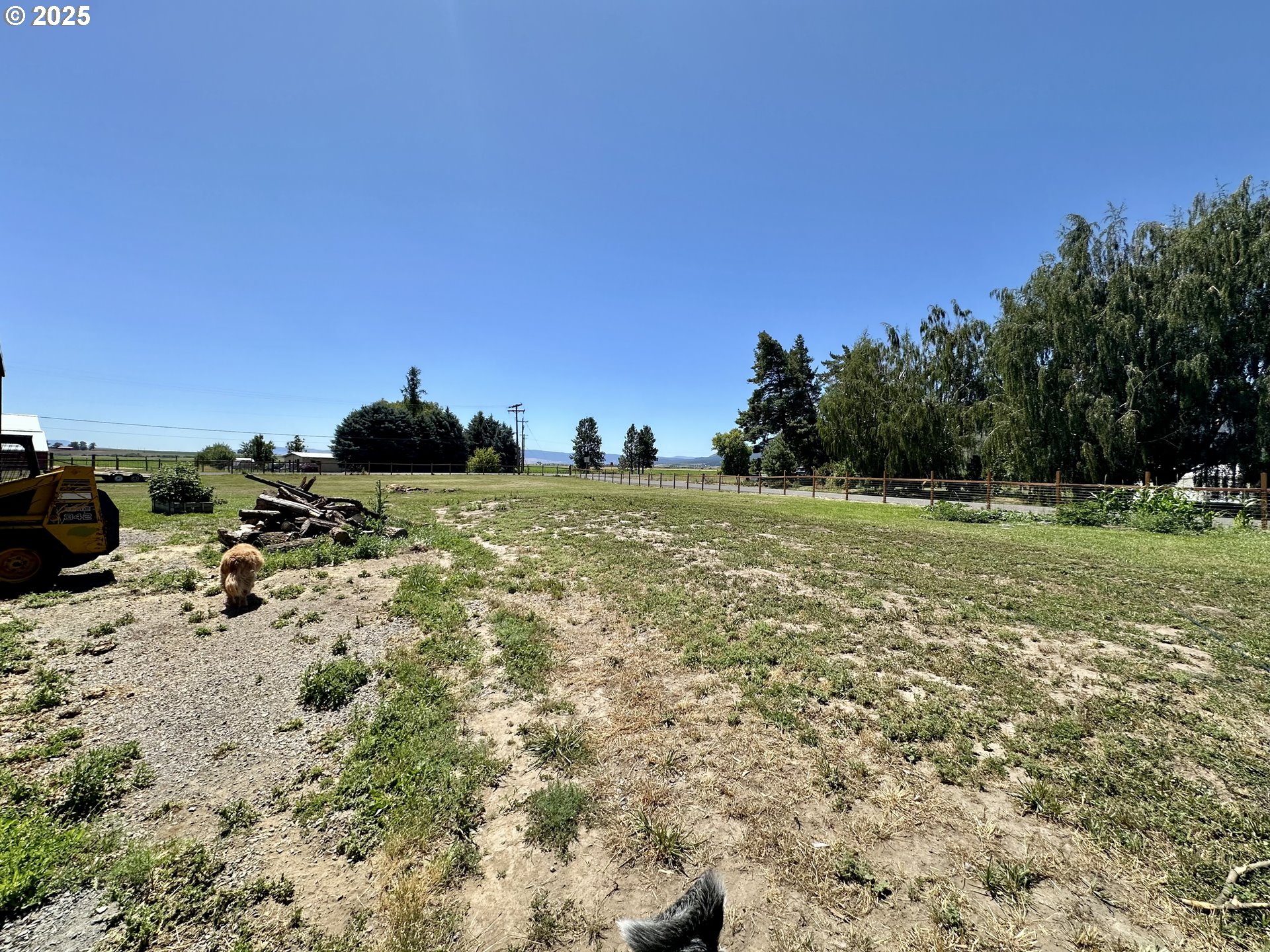 416 4th Street Summerville, OR 97876 - Photo 36 of 40 a view of a field with an trees
