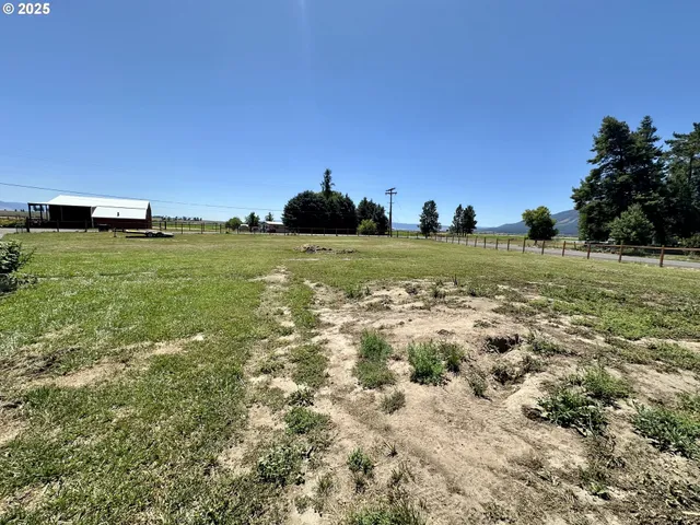a view of a field with an trees