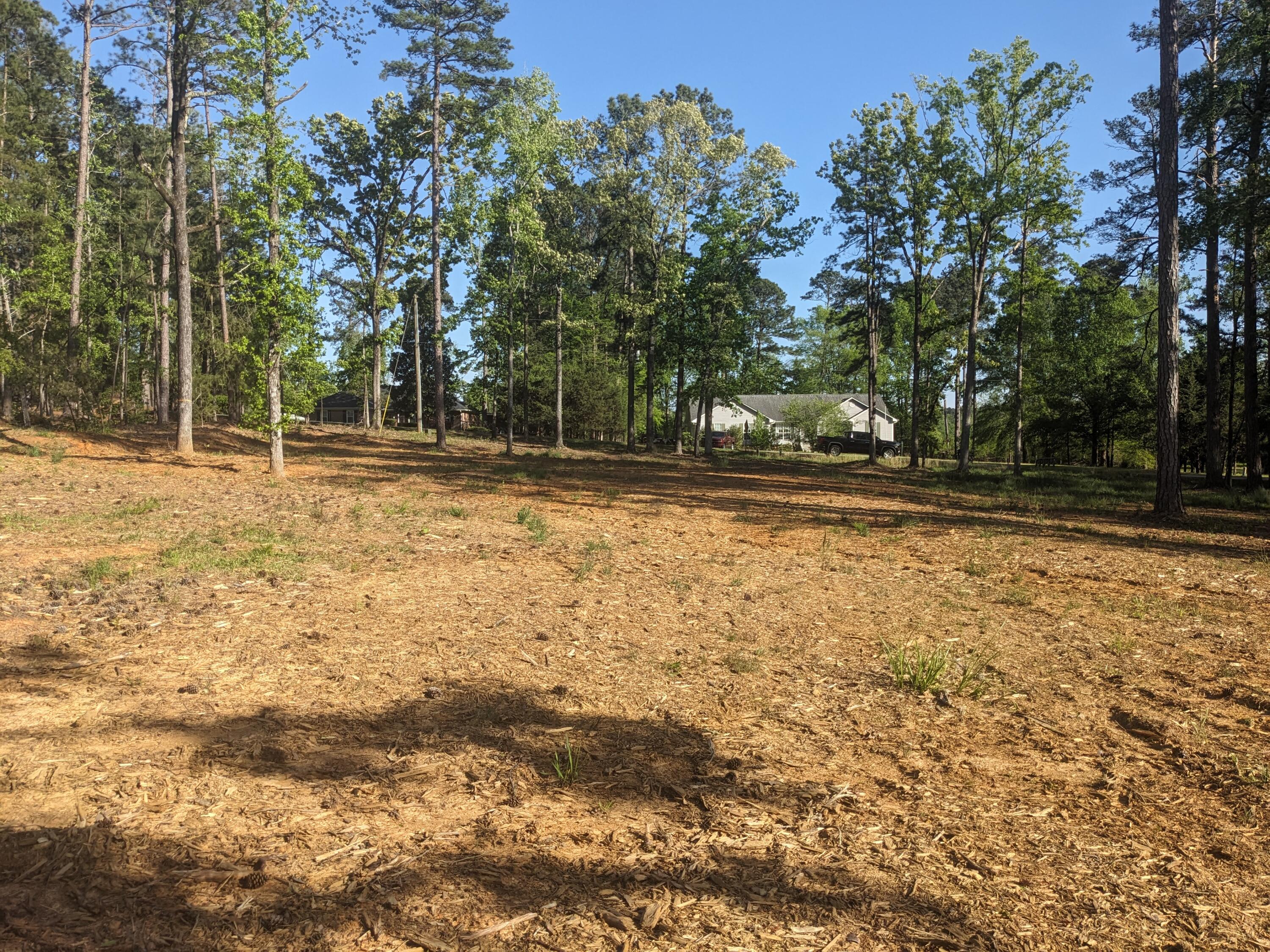 182 Cedar Road Plum Branch, SC 29845 - Photo 5 of 9 Looking up from the lake