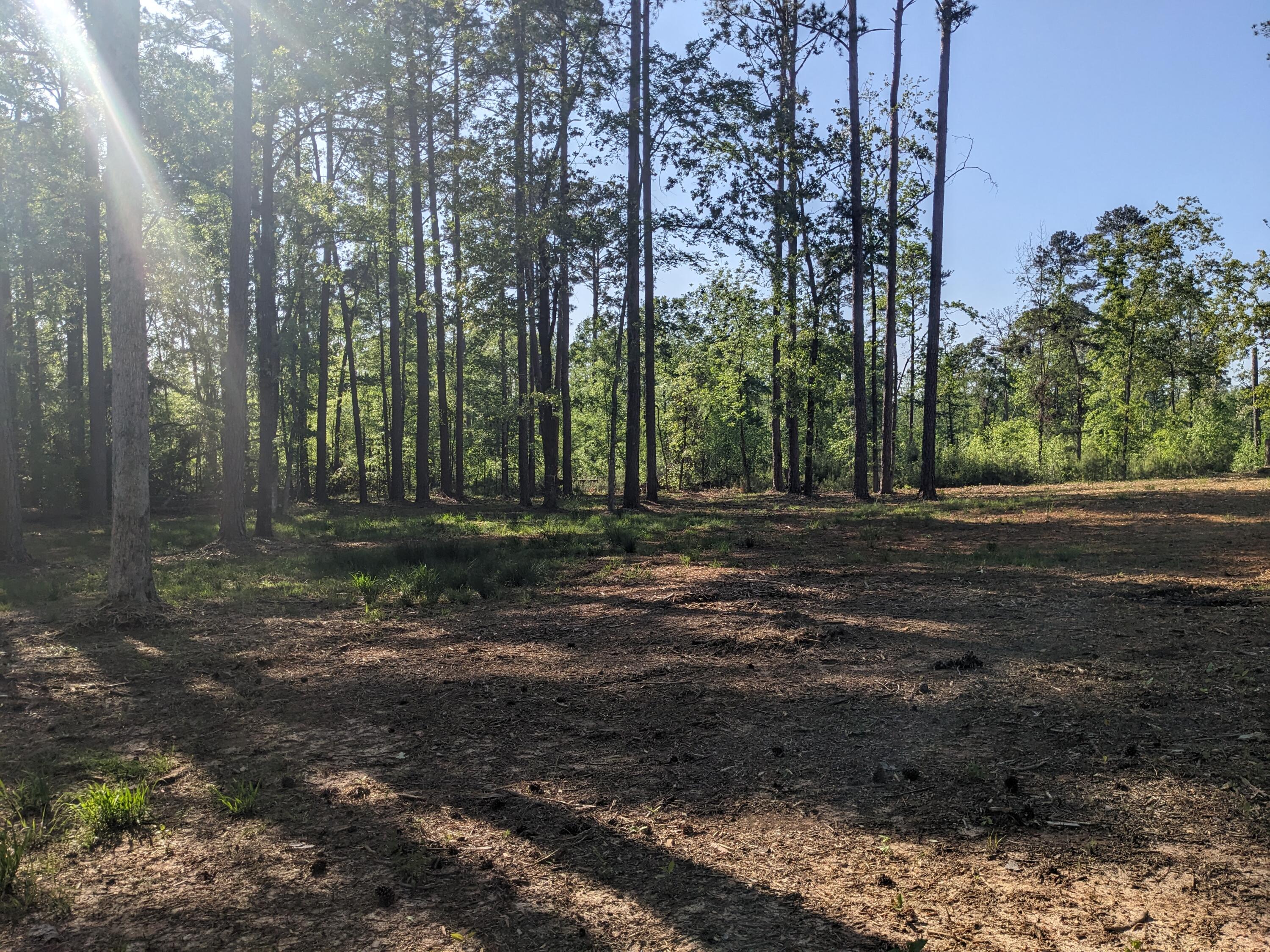 182 Cedar Road Plum Branch, SC 29845 - Photo 8 of 9 PXL_20250415_212949458.MP