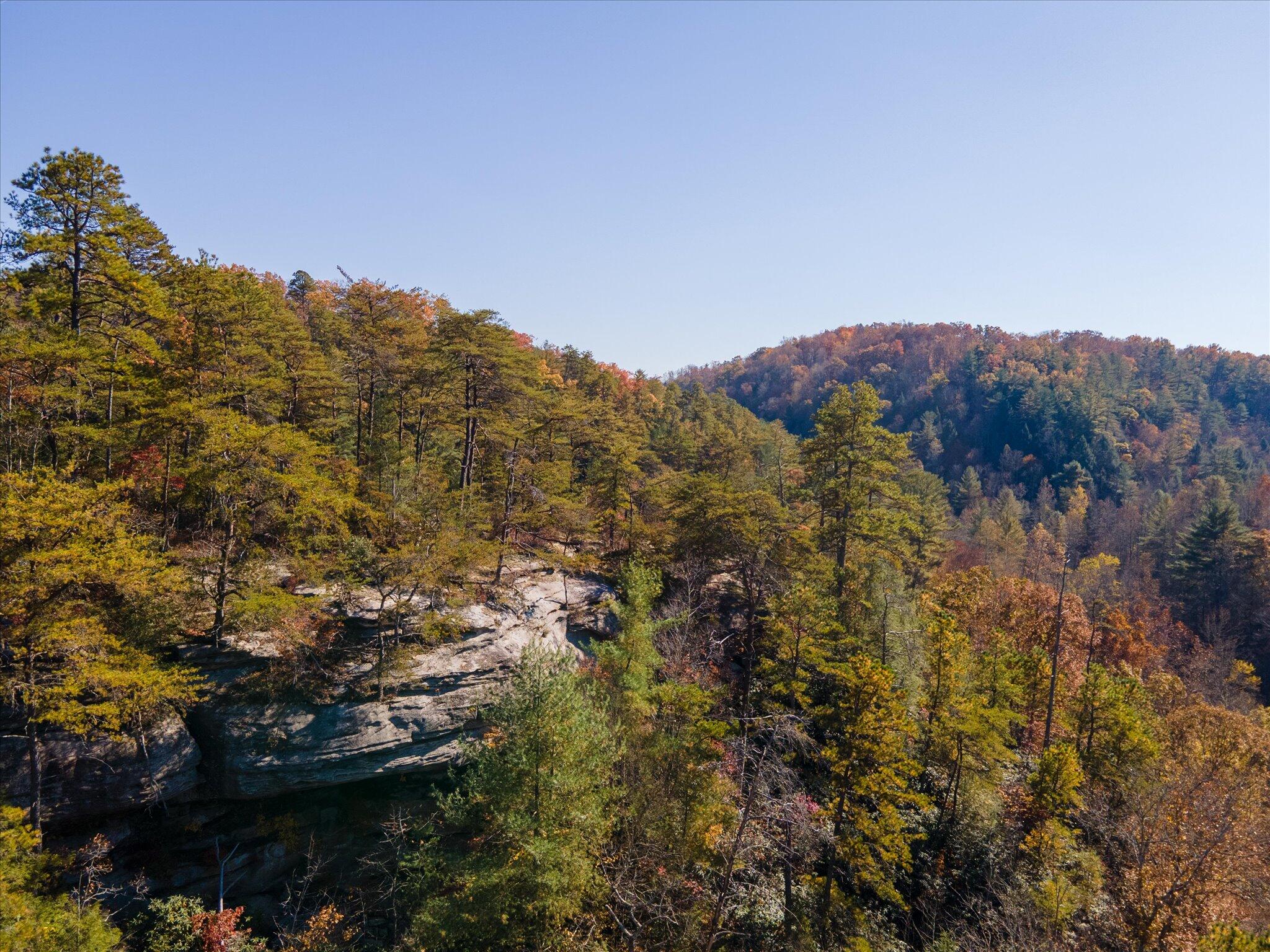 154 Silver Mine Pine Ridge, KY 41360 - Photo 14 of 39 37-Aerials 02